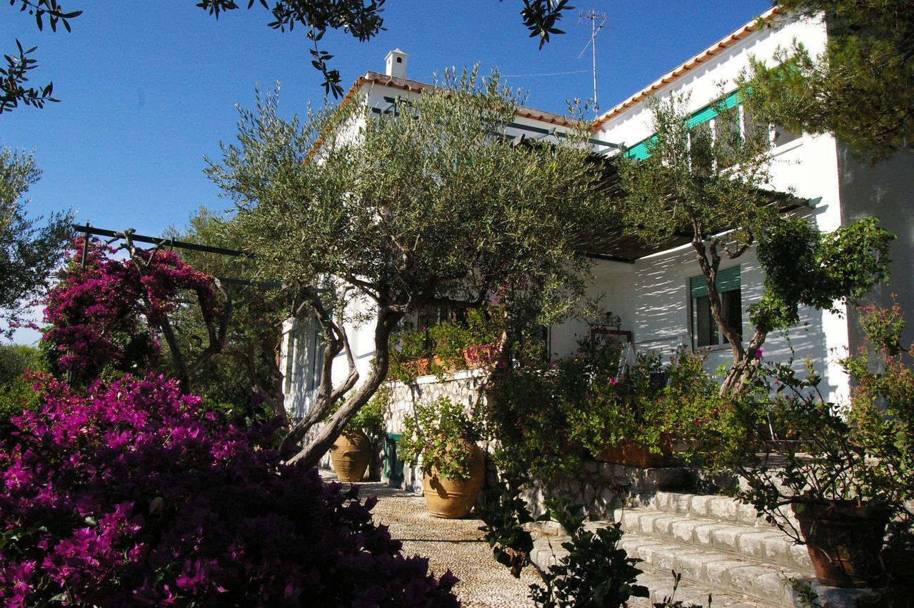 Il Rifugio B&B Capri 아나카프리 외부 사진