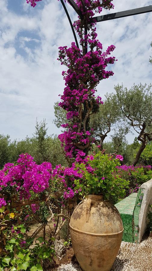 Il Rifugio B&B Capri 아나카프리 외부 사진