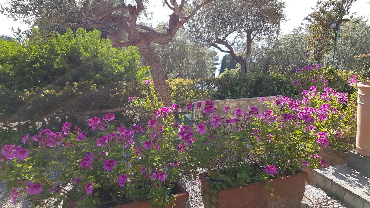 Il Rifugio B&B Capri 아나카프리 외부 사진